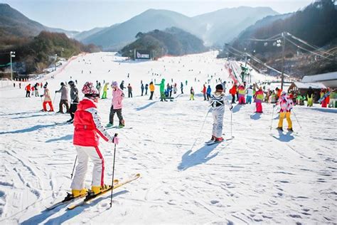 白色有香味的花|【釜山滑雪】探索韓國滑雪場的魅力！速睇釜山2024滑雪攻略